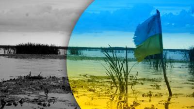 Украинский - Украинский проект E40 столкнулся с внешней угрозой - newzfeed.ru - Киев - Балтика