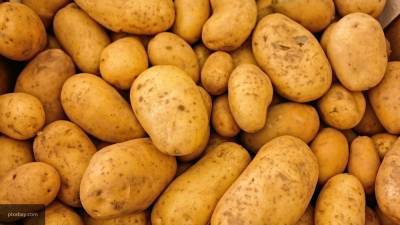 Перечислены продукты, которые нельзя употреблять в сыром виде - newinform.com