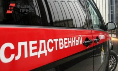 На Алтае СК допросил владельца батута, откуда упали маленькие девочки - fedpress.ru - Барнаул - респ. Алтай