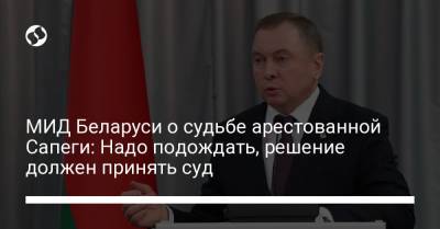 Владимир Макей - МИД Беларуси о судьбе арестованной Сапеги: Надо подождать, решение должен принять суд - liga.net