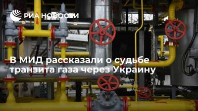 Дмитрий Биричевский - В МИД рассказали о судьбе транзита газа через Украину - smartmoney.one - Украина