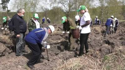 В память о погибших в ВОВ в России посадили 27 миллионов деревьев - vesti.ru - Санкт-Петербург