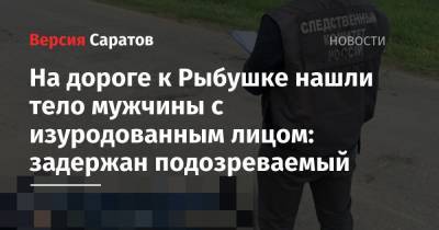 На дороге к Рыбушке нашли тело мужчины с изуродованным лицом: задержан подозреваемый - nversia.ru - Саратов - Волгоград