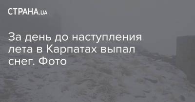 За день до наступления лета в Карпатах выпал снег. Фото - strana.ua