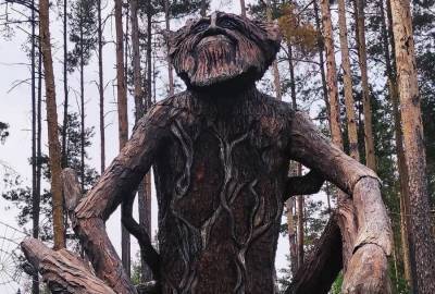 «Брат Алёнки…» В Воронеже сфотографировали колоритного лешего - gorcom36.ru - Воронеж