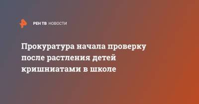 Прокуратура начала проверку после растления детей кришниатами в школе - ren.tv - Россия - Сочи - Краснодарский край - Апсны