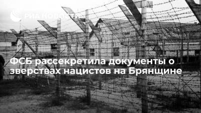 ФСБ рассекретила документы о зверствах нацистов на Брянщине - ria.ru - Москва - Брянск - Брянская обл.