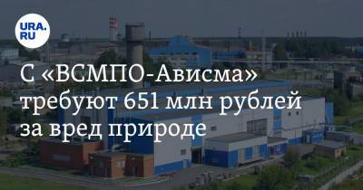 С «ВСМПО-Ависма» требуют 651 млн рублей за вред природе - ura.news - Свердловская обл.