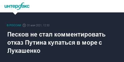 Владимир Путин - Дмитрий Песков - Александр Лукашенко - Песков не стал комментировать отказ Путина купаться в море с Лукашенко - interfax.ru - Москва - Сочи