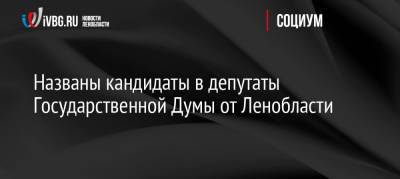 Названы кандидаты в депутаты Государственной Думы от Ленобласти - ivbg.ru - Ленинградская обл.