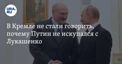 Владимир Путин - Дмитрий Песков - Александр Лукашенко - В Кремле не стали говорить, почему Путин не искупался с Лукашенко - ura.news - Сочи