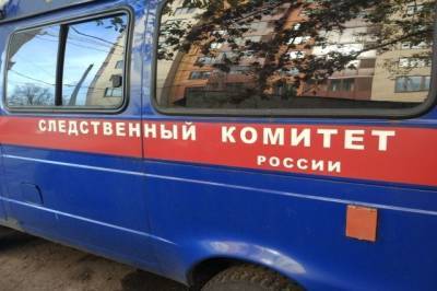 В Подмосковье убита семья с двумя детьми - aif.ru - Московская обл.