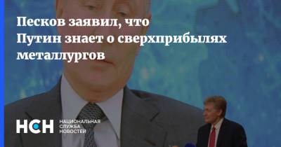 Владимир Путин - Дмитрий Песков - Андрей Белоусов - Песков заявил, что Путин знает о сверхприбылях металлургов - nsn.fm