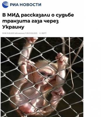 Дмитрий Биричевский - Транзит, транзит ... - geo-politica.info - Москва