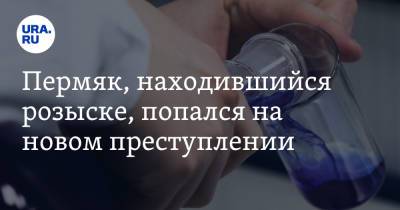Пермяк, находившийся розыске, попался на новом преступлении - ura.news - Пермь - Пермский край