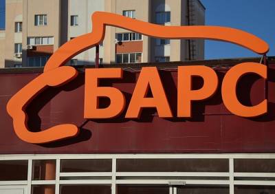 В Приокском мужчина упал с высоты на крышу супермаркета «Барс» - ya62.ru - Рязань - Приокск