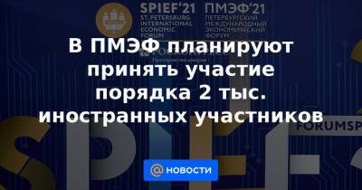 Андрей Белоусов - В ПМЭФ планируют принять участие порядка 2 тыс. иностранных участников - news.mail.ru - Москва - Катар