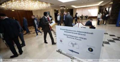MFA: Belarus is developing comprehensive relations with Africa - udf.by - Belarus
