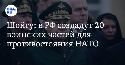 Сергей Шойгу - Шойгу: в РФ создадут 20 воинских частей для противостояния НАТО - ura.news
