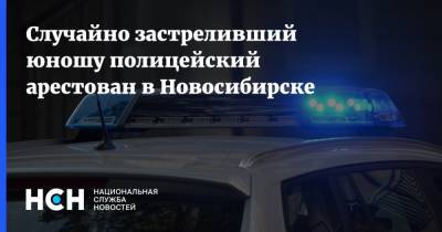 Случайно застреливший юношу полицейский арестован в Новосибирске - nsn.fm - Новосибирск - Новосибирская обл. - район Мошковский