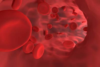 Михаил Гинзбург - Диетолог дал рекомендации, как повысить уровень гемоглобина в крови - vm.ru