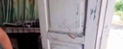 В Андижанской области женщину убили мотыгой во время спора - runews24.ru - Андижанская обл.