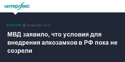 Ирина Волк - МВД заявило, что условия для внедрения алкозамков в РФ пока не созрели - interfax.ru - Москва