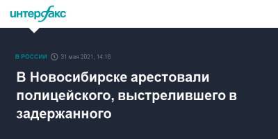 В Новосибирске арестовали полицейского, выстрелившего в задержанного - interfax.ru - Москва - Новосибирск