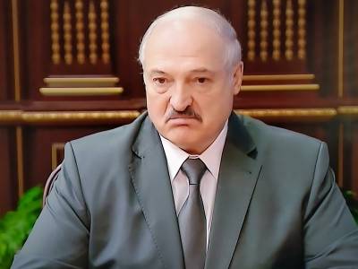 Александр Лукашенко - ProtonMail: В Беларусь ушло только одно письмо с угрозами. После разворота самолета - sobesednik.ru - Швейцария - Белоруссия - Минск
