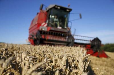 Экспортные цены на пшеницу РФ продолжили снижение за мировыми - smartmoney.one - Москва - Новороссийск - Omsk - Reuters