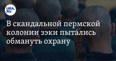 В скандальной пермской колонии зэки пытались обмануть охрану - ura.news - Пермский край - Соликамск