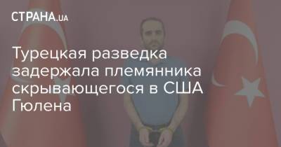 Турецкая разведка задержала племянника скрывающегося в США Гюлена - strana.ua - Турция - Анкара