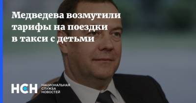 Дмитрий Медведев - Медведева возмутили тарифы на поездки в такси с детьми - nsn.fm
