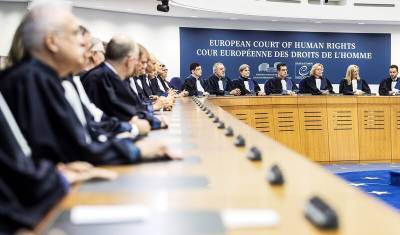 Ирина Славина - В РФ назвали "наглостью" жалобы россиян на аресты за неуважение к власти в ЕСПЧ - newizv.ru - Нижний Новгород