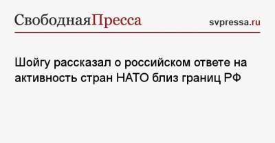 Сергей Шойгу - Шойгу рассказал о российском ответе на активность стран НАТО близ границ РФ - svpressa.ru - Москва