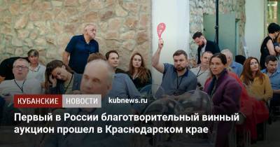 Первый в России благотворительный винный аукцион прошел в Краснодарском крае - kubnews.ru - Краснодарский край