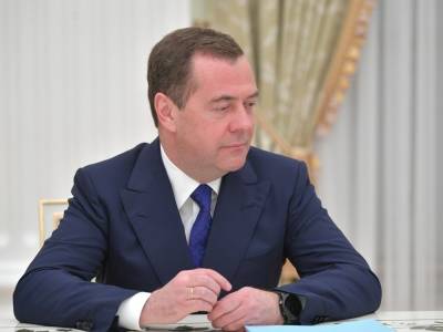 Дмитрий Медведев - Медведев призвал уравнять в правах многодетных семей во всех регионах - sobesednik.ru