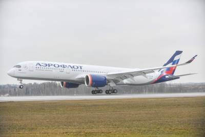 СМИ: Пассажирский Airbus A-321 экстренно сел в Шереметьеве с запахом гари на борту - vm.ru - Сочи - Екатеринбург - Шереметьево
