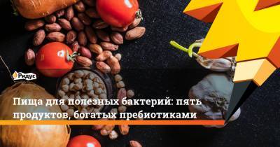 Пища для полезных бактерий: пять продуктов, богатых пребиотиками - ridus.ru