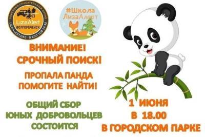 Завтра в костромском Волгореченске будут ловить панду - kostroma.mk.ru - Волгореченск