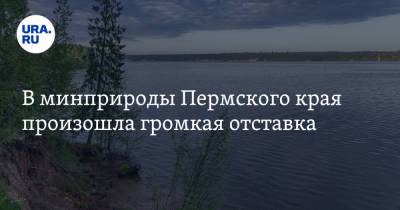 В минприроды Пермского края произошла громкая отставка - ura.news - Пермь - Пермский край