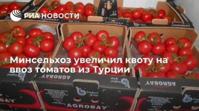 Минсельхоз увеличил квоту на ввоз томатов из Турции - smartmoney.one - Турция