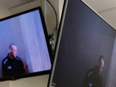 Алексей Навальный - Суд отложил рассмотрение иска Навального о статусе «склонного к побегу» - rosbalt.ru - Владимирская обл.