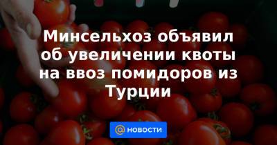 Минсельхоз объявил об увеличении квоты на ввоз помидоров из Турции - news.mail.ru - Турция