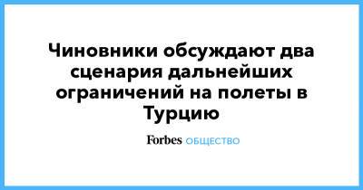 Чиновники обсуждают два сценария дальнейших ограничений на полеты в Турцию - forbes.ru - Россия - Турция - Танзания