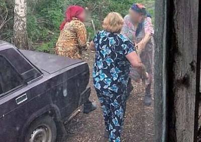 В Рязанской области 73-летняя женщина пыталась убить соседку мотыгой - ya62.ru - Рязанская обл. - Новомичуринск - район Пронский