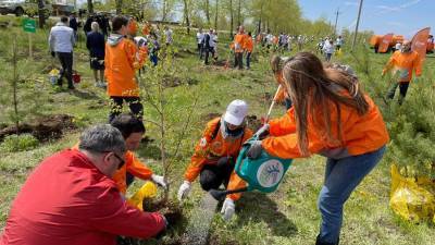 Руслан Болотов - В Иркутске волонтеры высадили 360 деревьев в рамках экоакции En+ Group - iz.ru - Иркутск - Экология