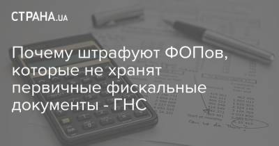Почему штрафуют ФОПов, которые не хранят первичные фискальные документы - ГНС - strana.ua