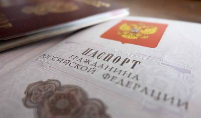 Более полумиллиона жителей Донбасса получили российские паспорта - newizv.ru - Луганская обл. - ДНР - ЛНР - Донбасс - Донецкая обл.