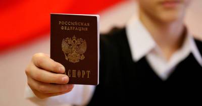 Владимир Путин - Гражданство РФ в упрощенном порядке получили почти 530 тысяч жителей Донбасса - readovka.ru - ДНР - ЛНР - Донбасс